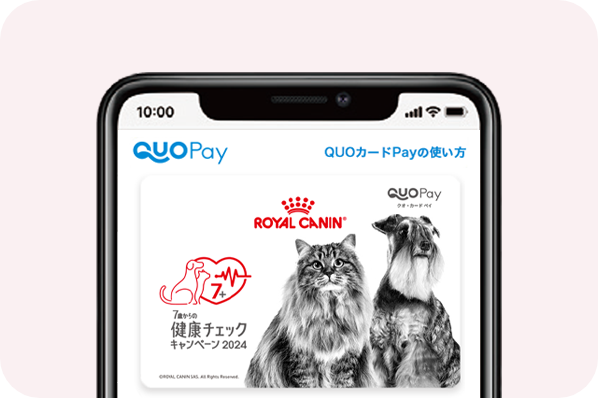 QUOカードPay