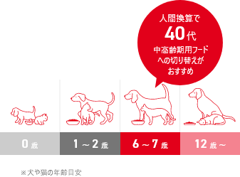 7歳 になったら食事を変えましょう！