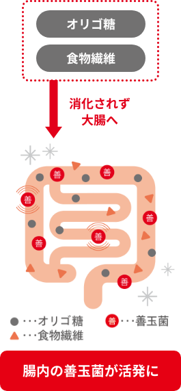 プレバイオティクスのイメージ画像②