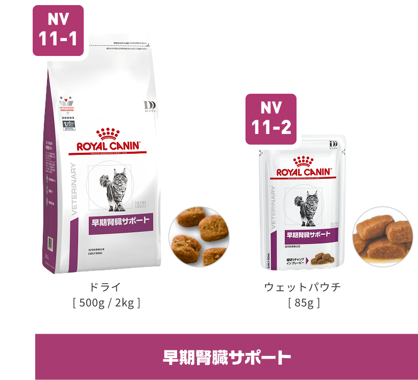 早期腎臓サポート