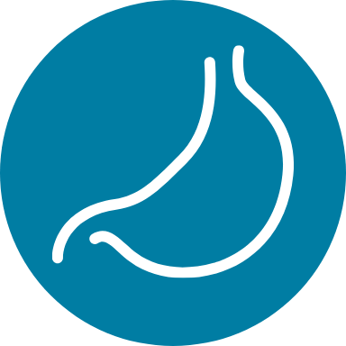 胃のアイコン