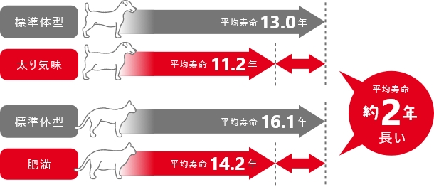 健康体重になるメリットは？