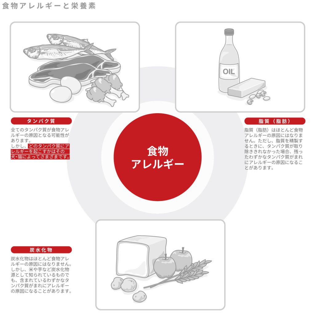 食物アレルギーで見られる症状