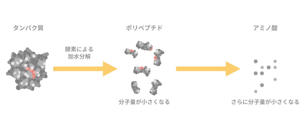 食物アレルギーで見られる症状