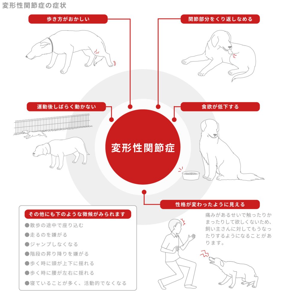 変形性関節症の症状