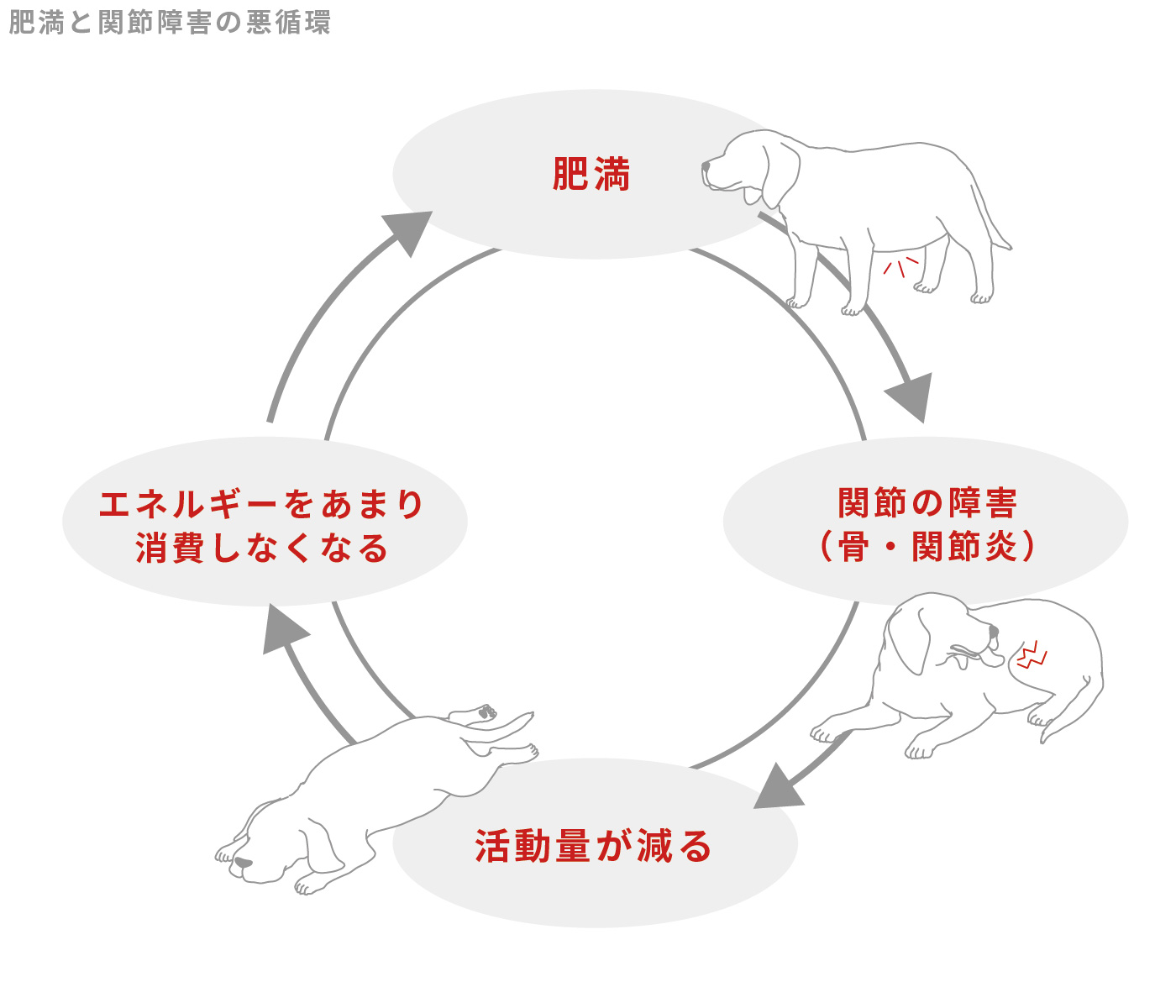 肥満と関節障害の悪循環