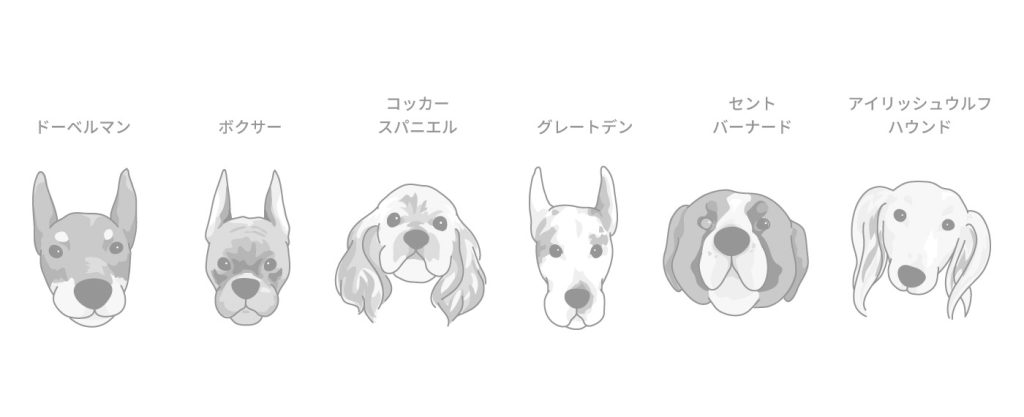 以下のような犬種によくみられます。