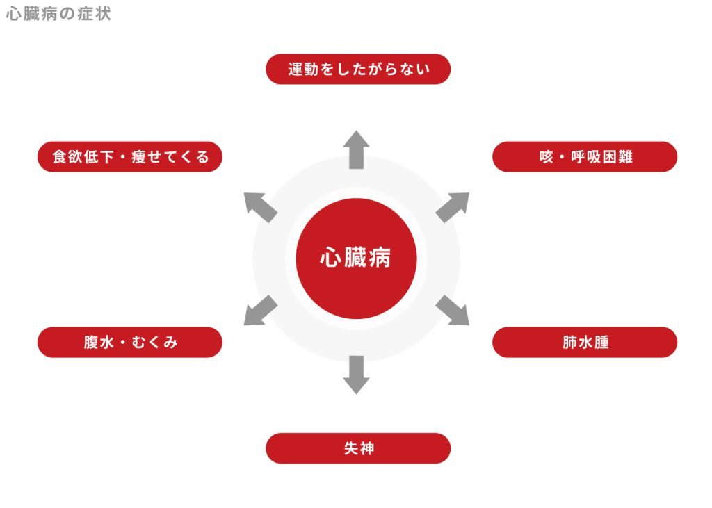 心臓病の症状