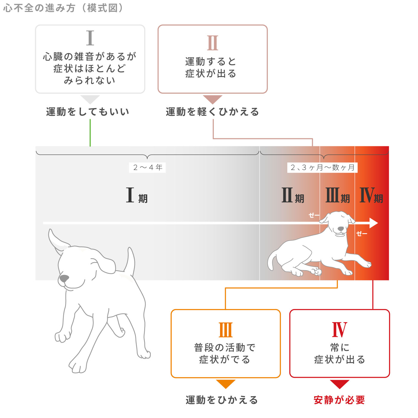 心不全の進み方（模式図）