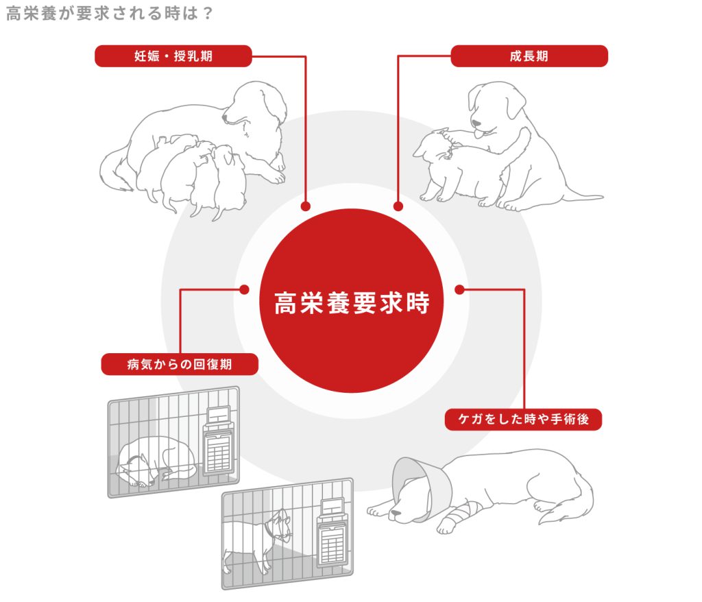 高栄養が要求される時は？