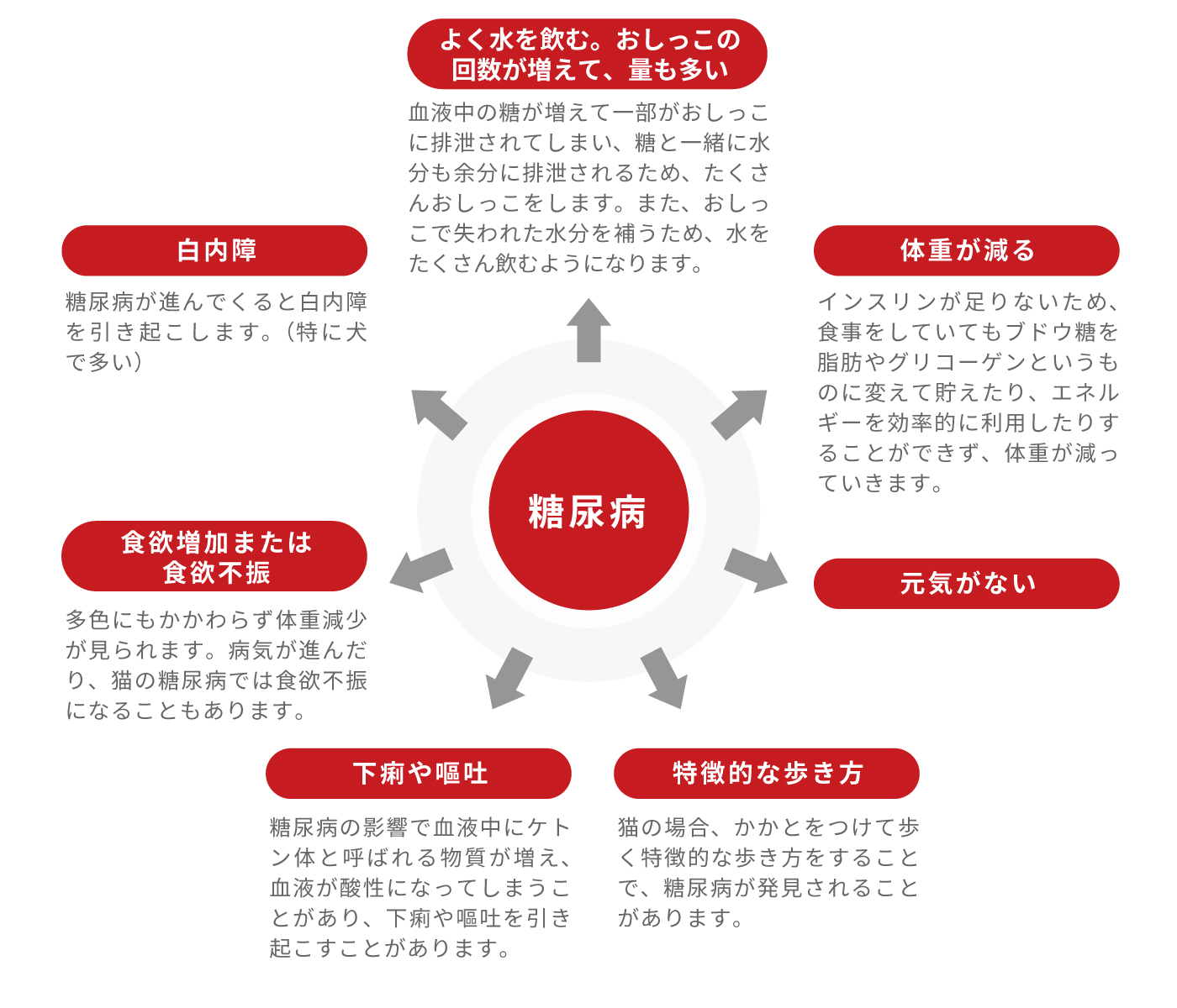 主な糖尿病の症状