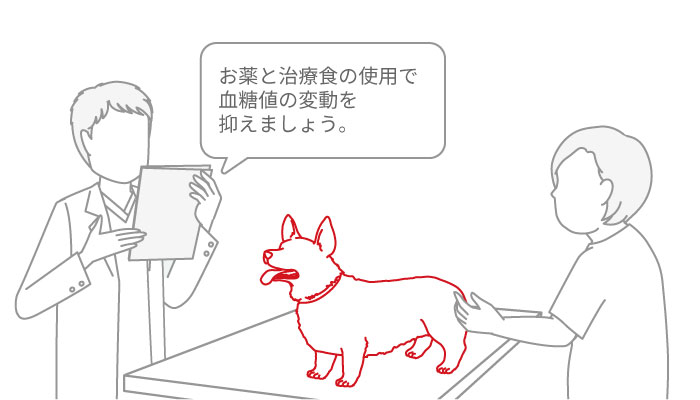 犬と猫の糖尿病の治療