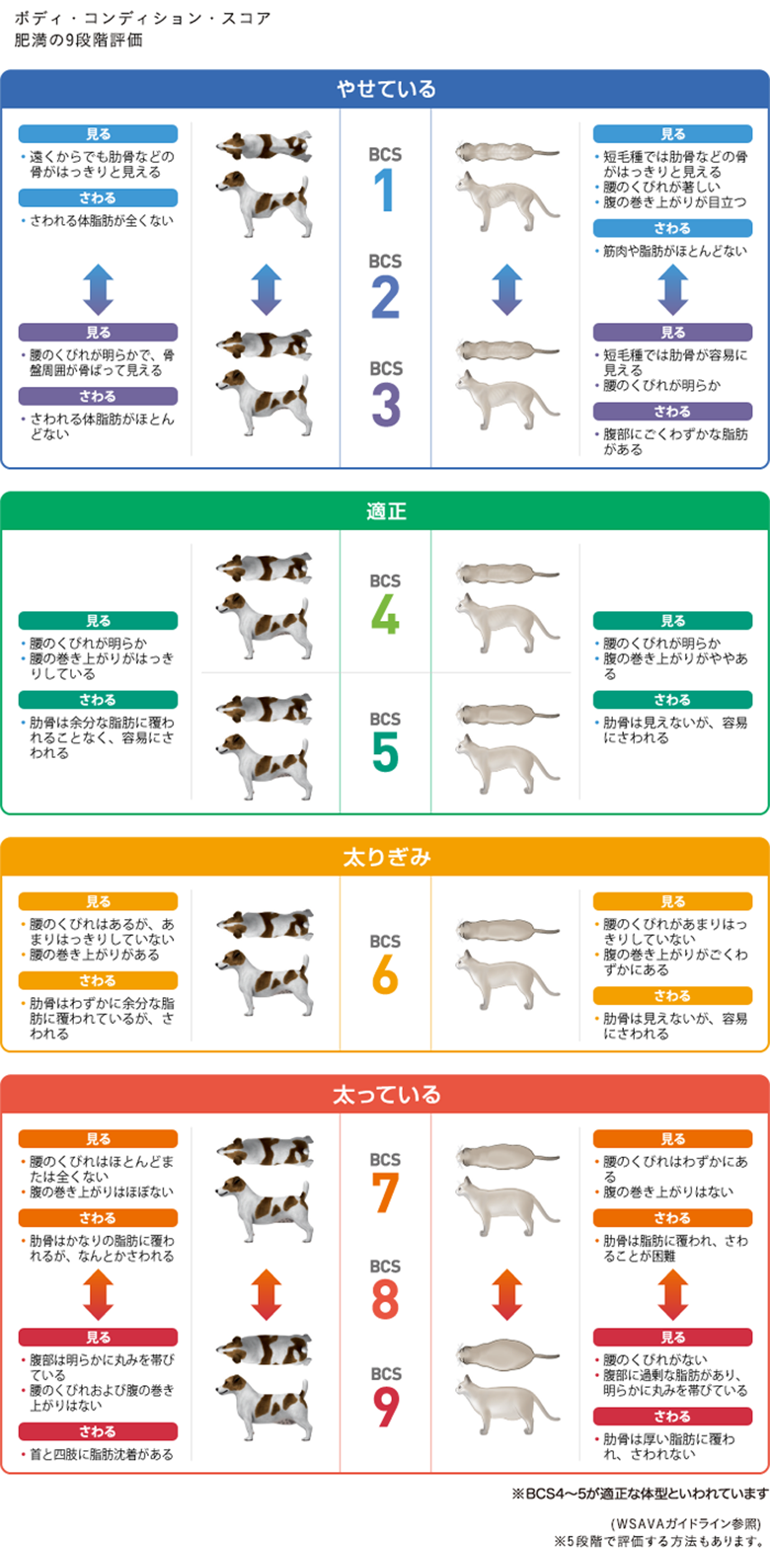 肥満チェックの方法