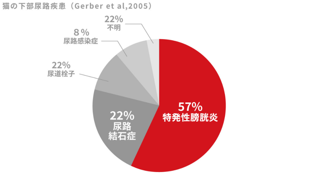 猫の下部尿路疾患