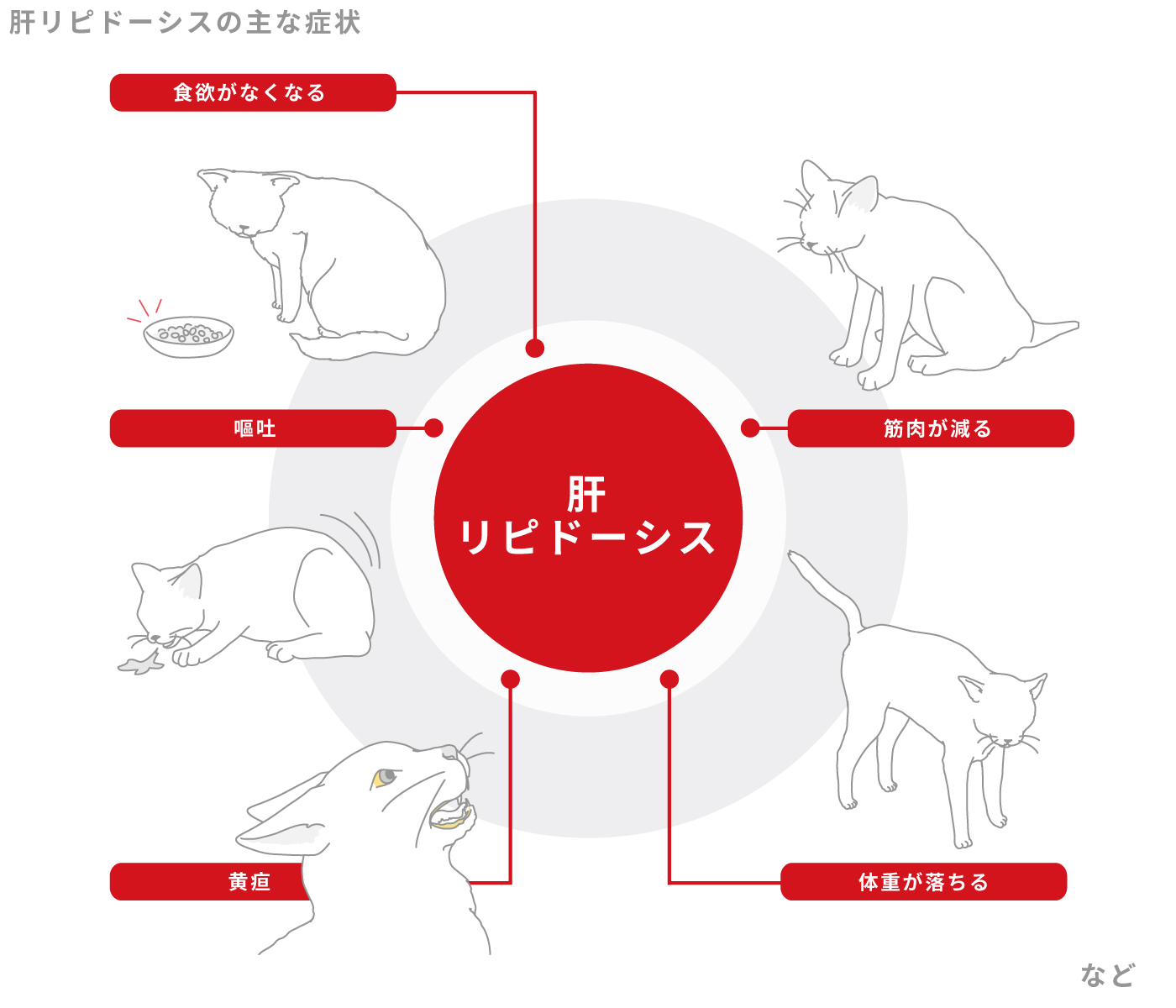 肝リピドーシスの主な症状