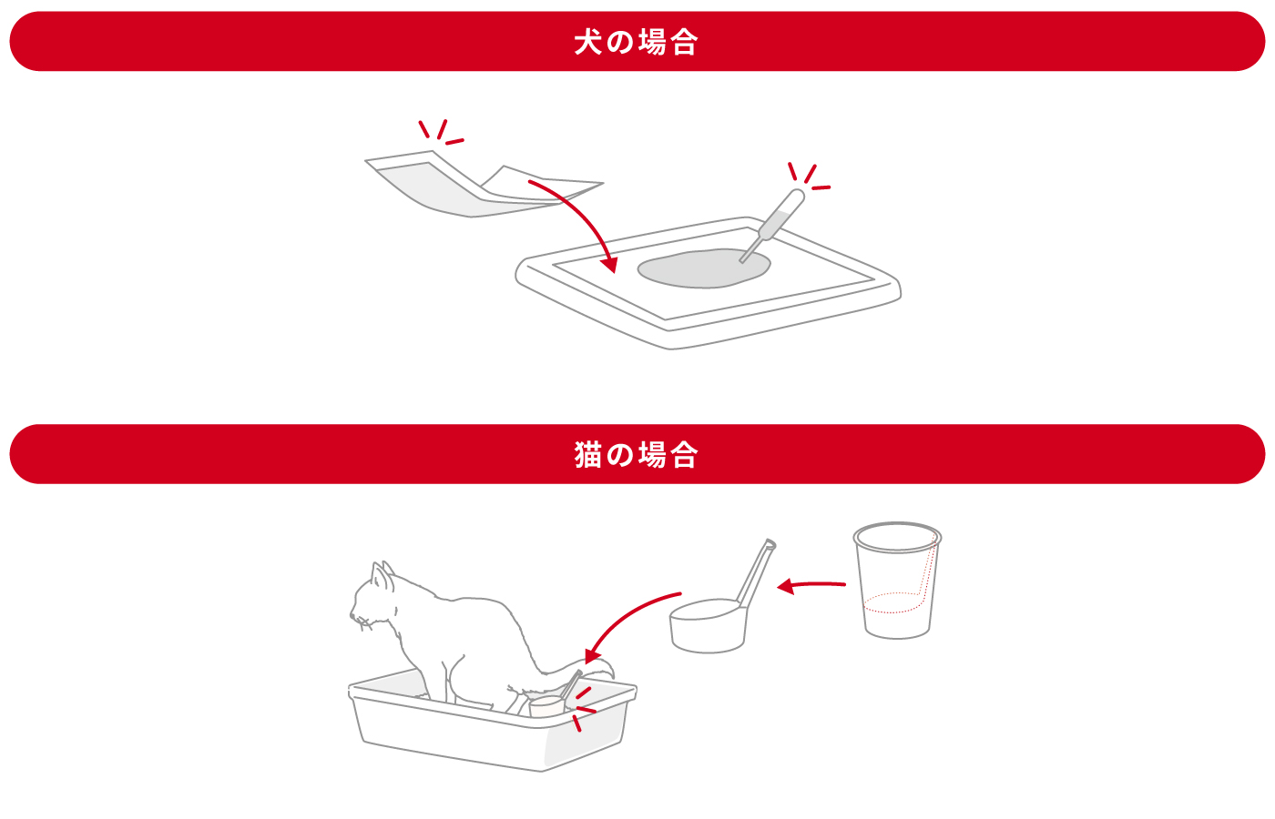 採尿の方法