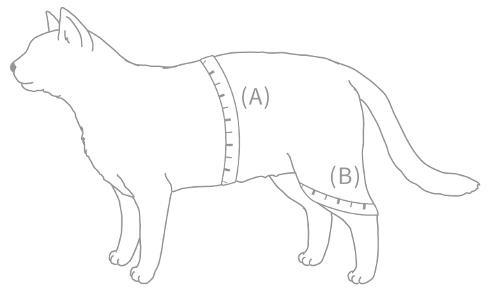 猫の体脂肪率を測ってみましょう