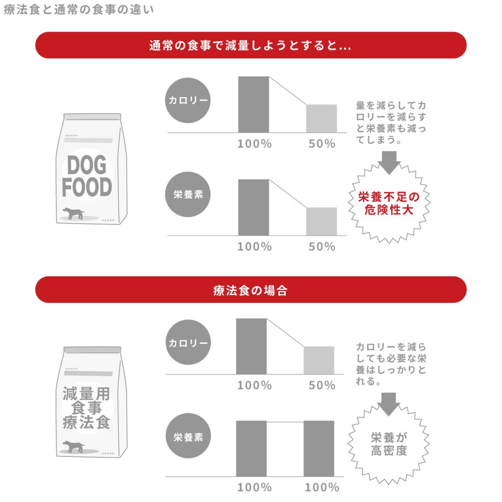 療法食と通常の食事の違い