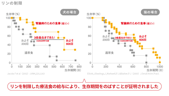 リンの制限