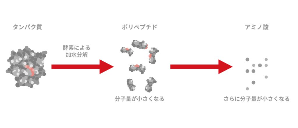 療法食のポイント