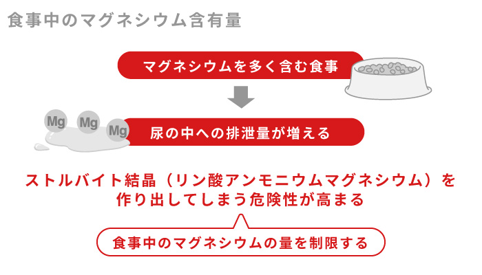 食事中のマグネシウム含有量